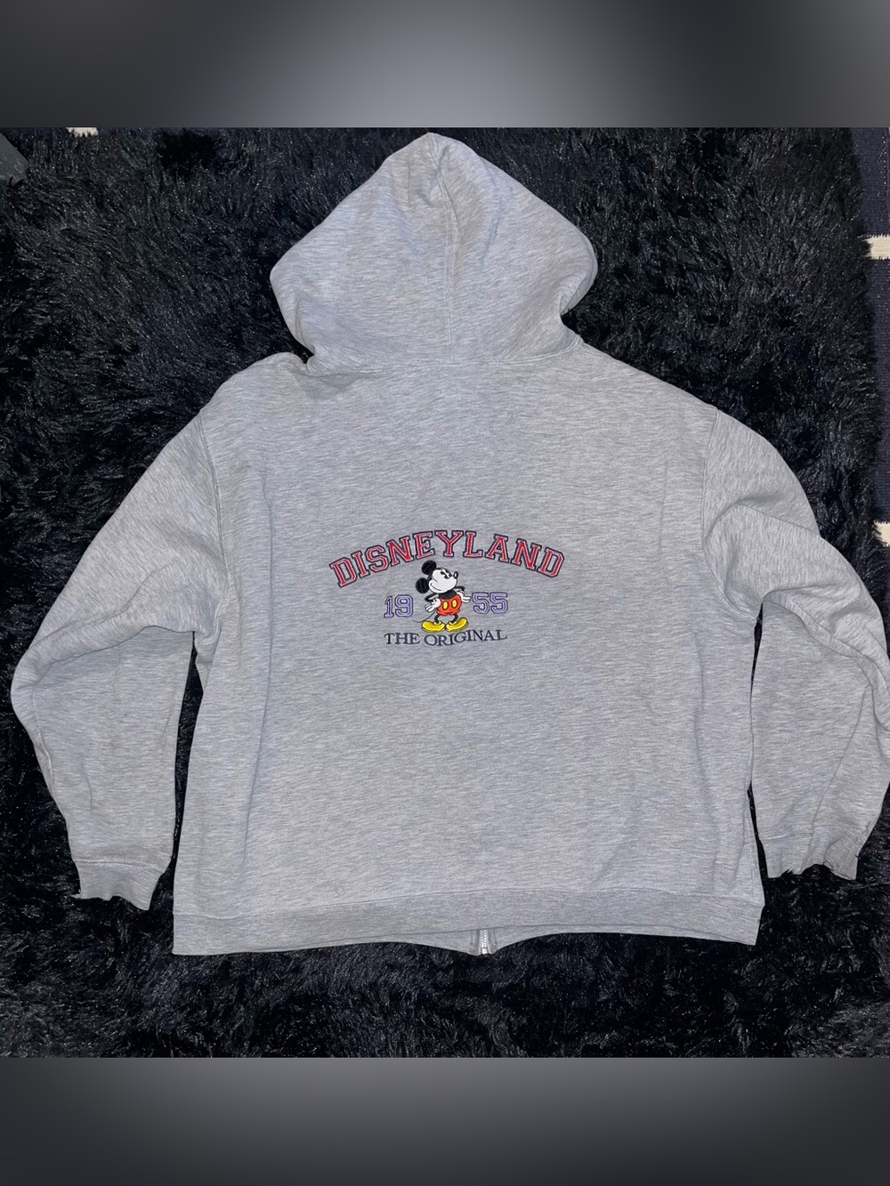 Disneyland Resort Disney Parks Hoode